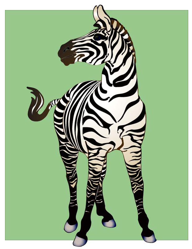 Zebra-Illustrator