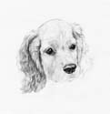 Dog-Pencil