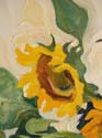 Sun Flower-Oil